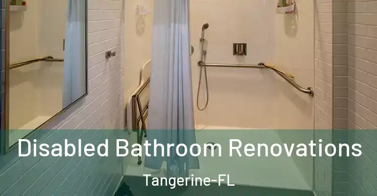 inner Bathroom imggen Disabled Bathroom Renovations Tangerine-FL