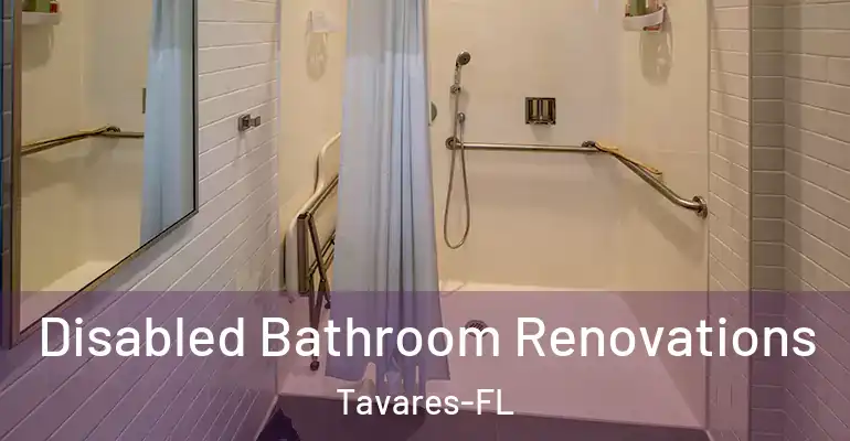 inner Bathroom imggen Disabled Bathroom Renovations Tavares-FL
