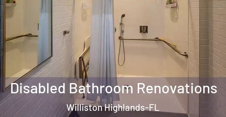 inner Bathroom imggen Disabled Bathroom Renovations Williston Highlands-FL