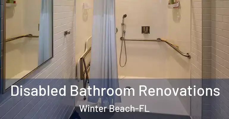 inner Bathroom imggen Disabled Bathroom Renovations Winter Beach-FL