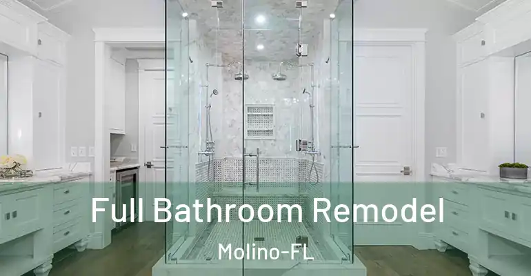inner Bathroom imggen Full Bathroom Remodel Molino-FL