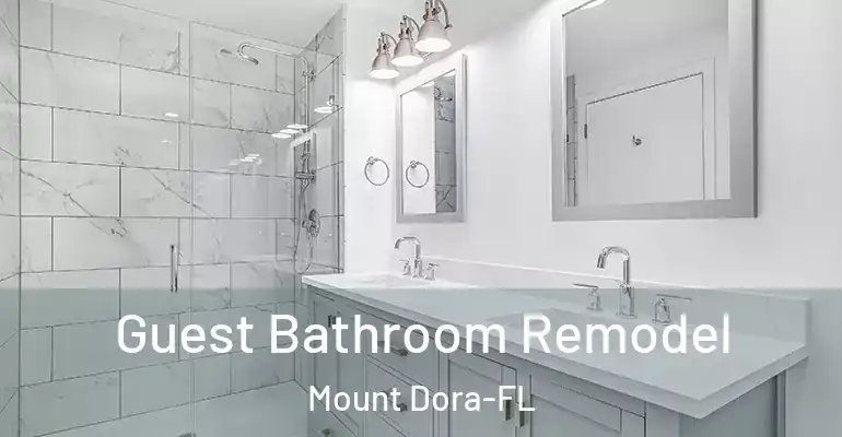 inner Bathroom imggen Guest Bathroom Remodel Mount Dora-FL