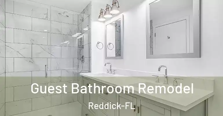 inner Bathroom imggen Guest Bathroom Remodel Reddick-FL
