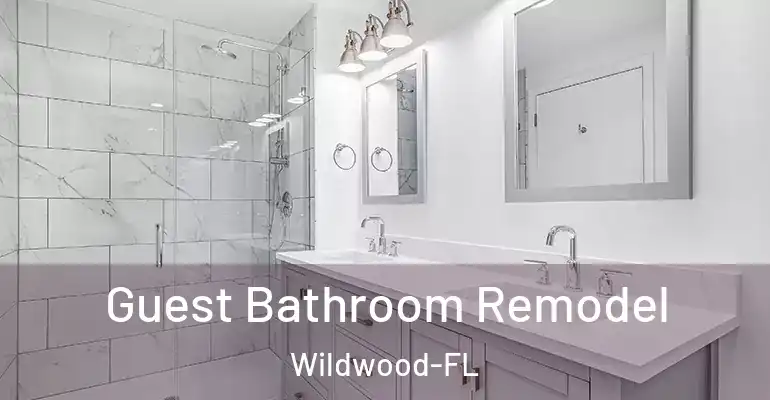 inner Bathroom imggen Guest Bathroom Remodel Wildwood-FL