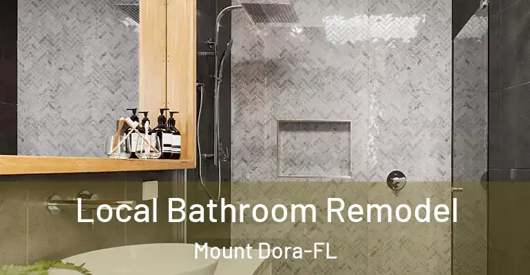 inner Bathroom imggen Local Bathroom Remodel Mount Dora-FL