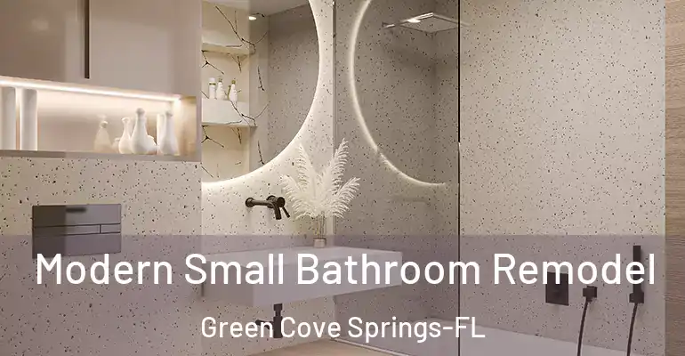 inner Bathroom imggen Modern Small Bathroom Remodel Green Cove Springs-FL