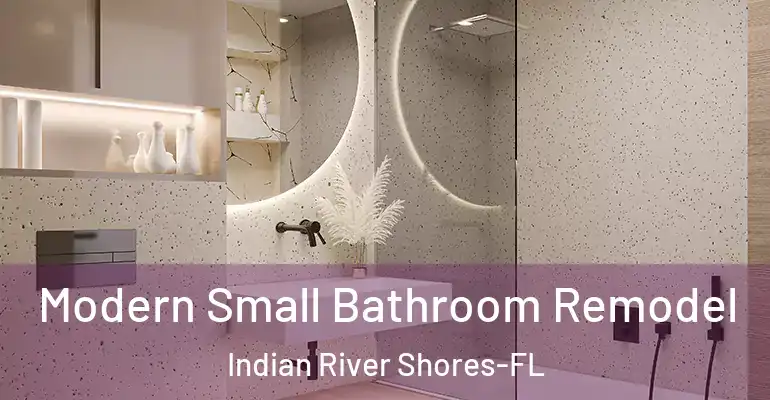inner Bathroom imggen Modern Small Bathroom Remodel Indian River Shores-FL