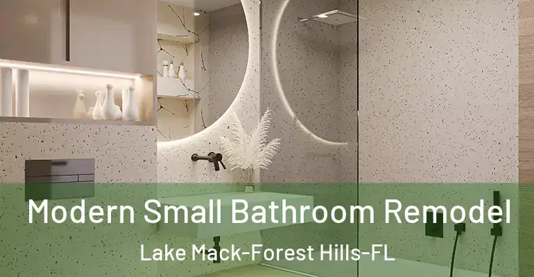 inner Bathroom imggen Modern Small Bathroom Remodel Lake Mack-Forest Hills-FL