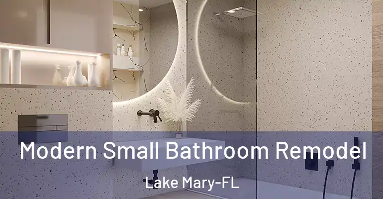 inner Bathroom imggen Modern Small Bathroom Remodel Lake Mary-FL