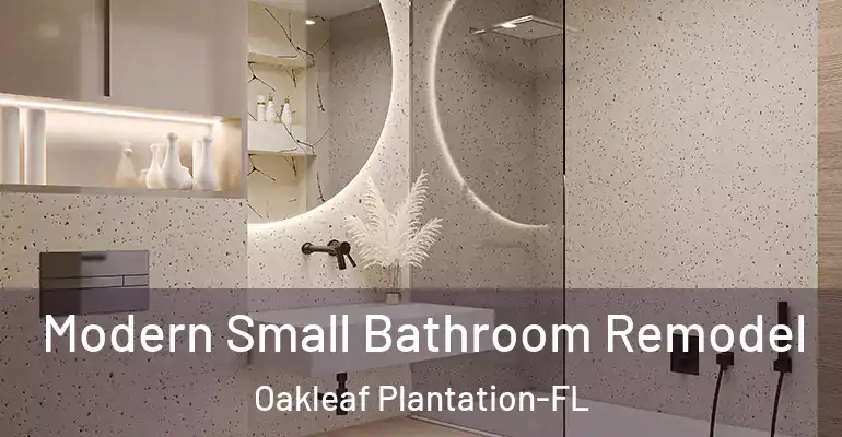 inner Bathroom imggen Modern Small Bathroom Remodel Oakleaf Plantation-FL