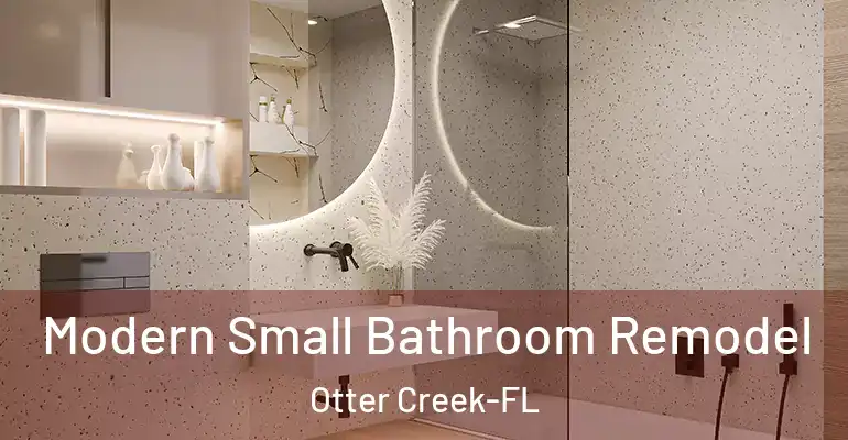 inner Bathroom imggen Modern Small Bathroom Remodel Otter Creek-FL