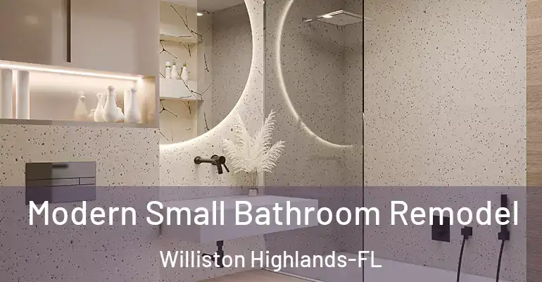 inner Bathroom imggen Modern Small Bathroom Remodel Williston Highlands-FL