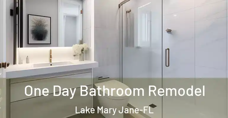 inner Bathroom imggen One Day Bathroom Remodel Lake Mary Jane-FL