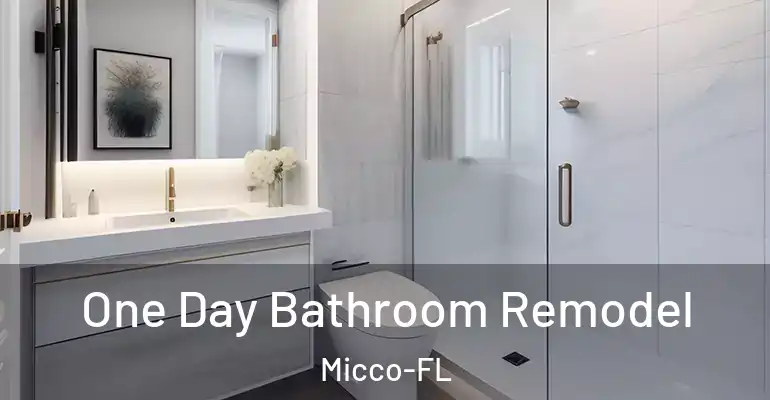 inner Bathroom imggen One Day Bathroom Remodel Micco-FL