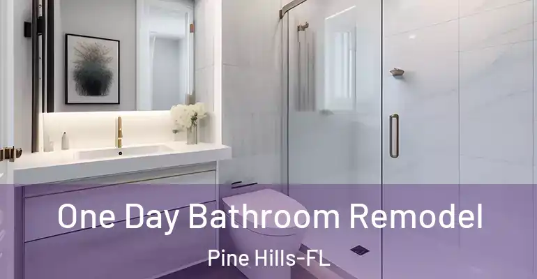 inner Bathroom imggen One Day Bathroom Remodel Pine Hills-FL