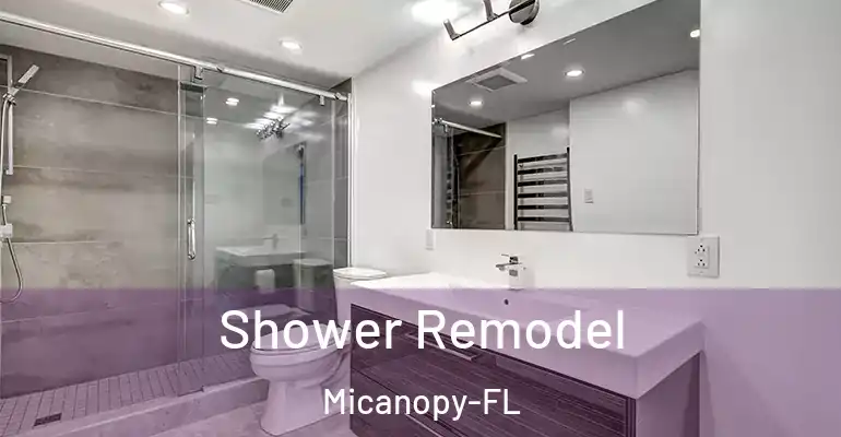 inner Bathroom imggen Shower Remodel Micanopy-FL
