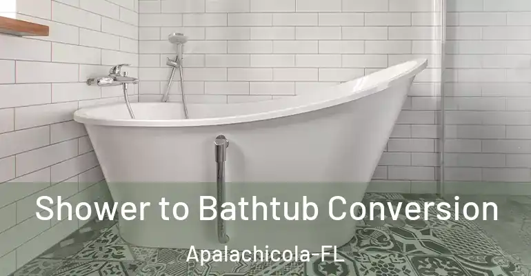 inner Bathroom imggen Shower to Bathtub Conversion Apalachicola-FL
