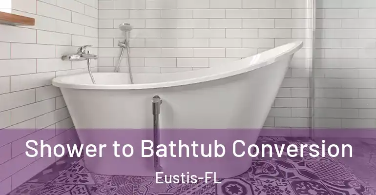 inner Bathroom imggen Shower to Bathtub Conversion Eustis-FL