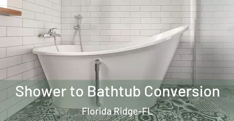 inner Bathroom imggen Shower to Bathtub Conversion Florida Ridge-FL