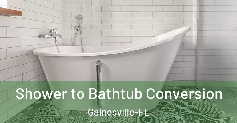 inner Bathroom imggen Shower to Bathtub Conversion Gainesville-FL