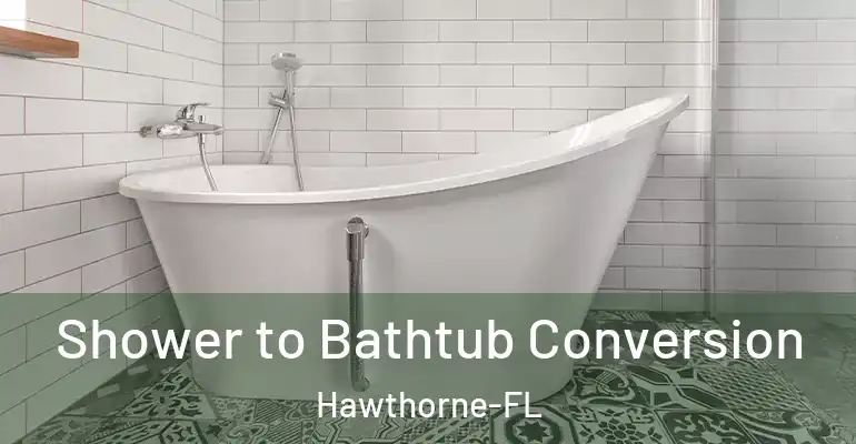 inner Bathroom imggen Shower to Bathtub Conversion Hawthorne-FL