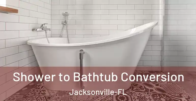 inner Bathroom imggen Shower to Bathtub Conversion Jacksonville-FL