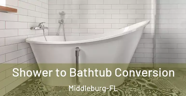 inner Bathroom imggen Shower to Bathtub Conversion Middleburg-FL