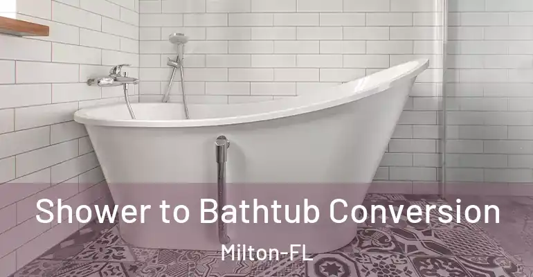 inner Bathroom imggen Shower to Bathtub Conversion Milton-FL