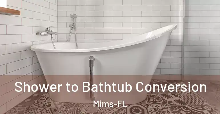 inner Bathroom imggen Shower to Bathtub Conversion Mims-FL