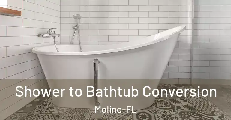 inner Bathroom imggen Shower to Bathtub Conversion Molino-FL