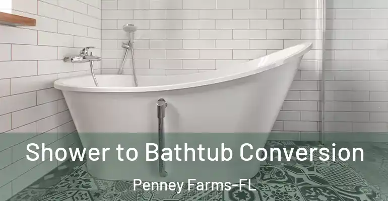 inner Bathroom imggen Shower to Bathtub Conversion Penney Farms-FL