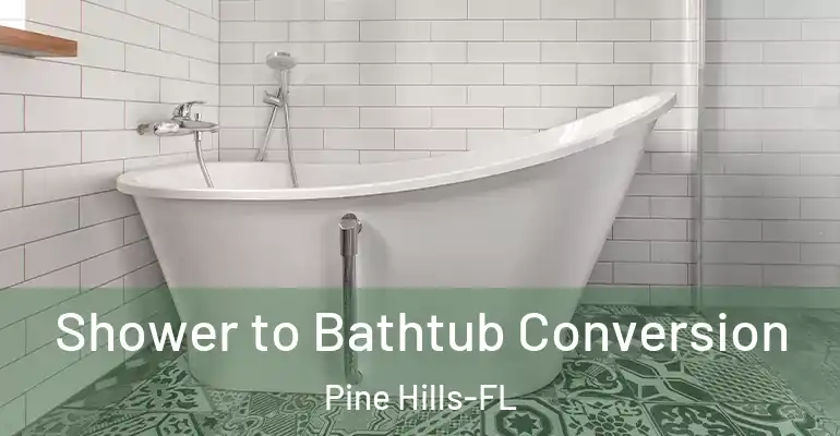 inner Bathroom imggen Shower to Bathtub Conversion Pine Hills-FL