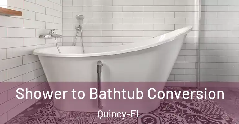 inner Bathroom imggen Shower to Bathtub Conversion Quincy-FL