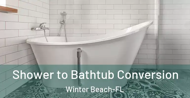 inner Bathroom imggen Shower to Bathtub Conversion Winter Beach-FL