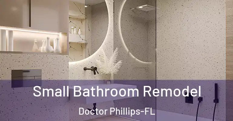 inner Bathroom imggen Small Bathroom Remodel Doctor Phillips-FL