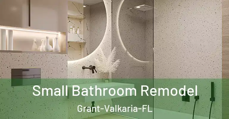 inner Bathroom imggen Small Bathroom Remodel Grant-Valkaria-FL