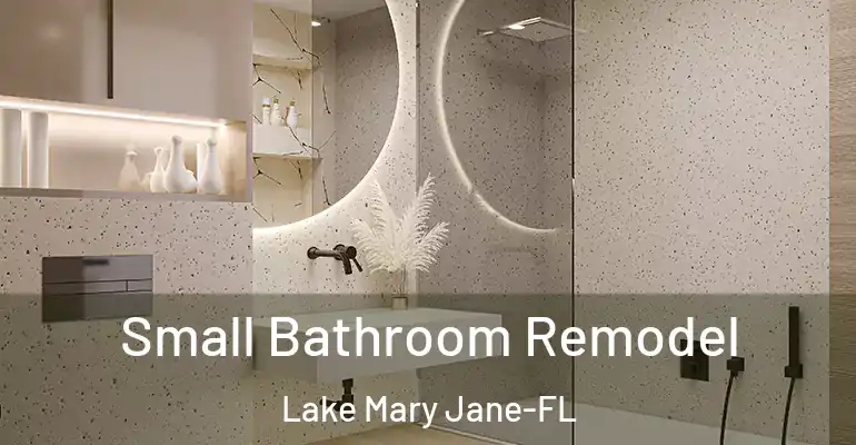 inner Bathroom imggen Small Bathroom Remodel Lake Mary Jane-FL