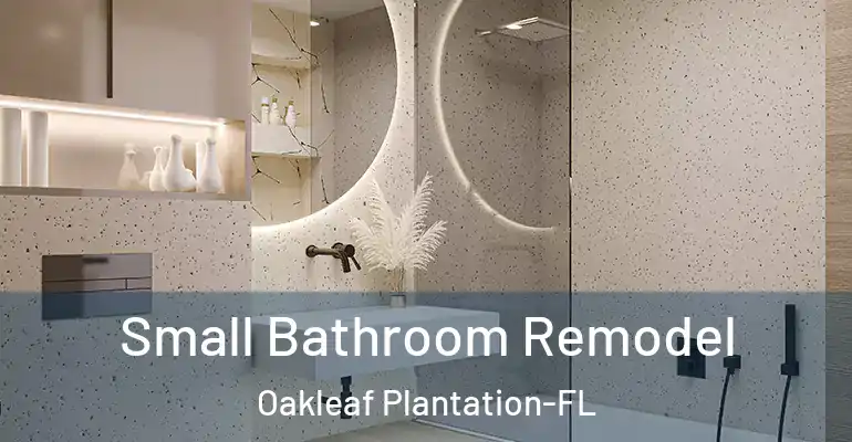 inner Bathroom imggen Small Bathroom Remodel Oakleaf Plantation-FL