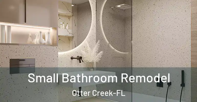 inner Bathroom imggen Small Bathroom Remodel Otter Creek-FL