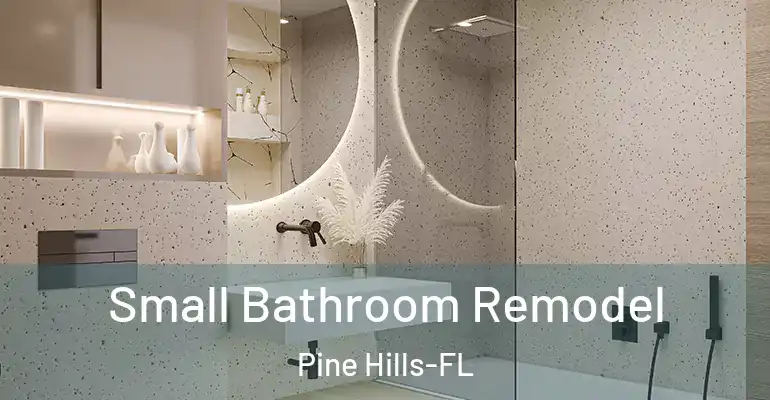 inner Bathroom imggen Small Bathroom Remodel Pine Hills-FL