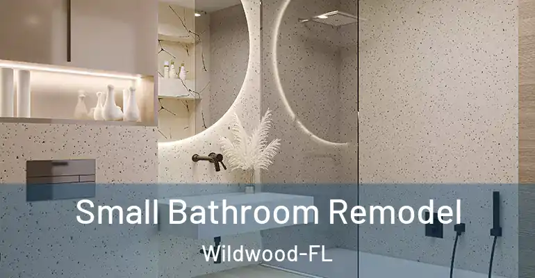 inner Bathroom imggen Small Bathroom Remodel Wildwood-FL