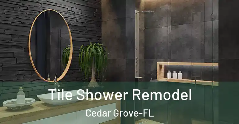 inner Bathroom imggen Tile Shower Remodel Cedar Grove-FL