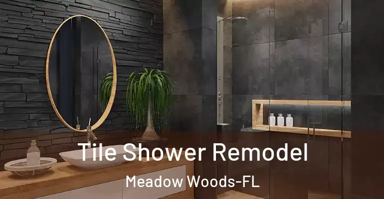inner Bathroom imggen Tile Shower Remodel Meadow Woods-FL