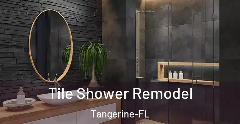 inner Bathroom imggen Tile Shower Remodel Tangerine-FL