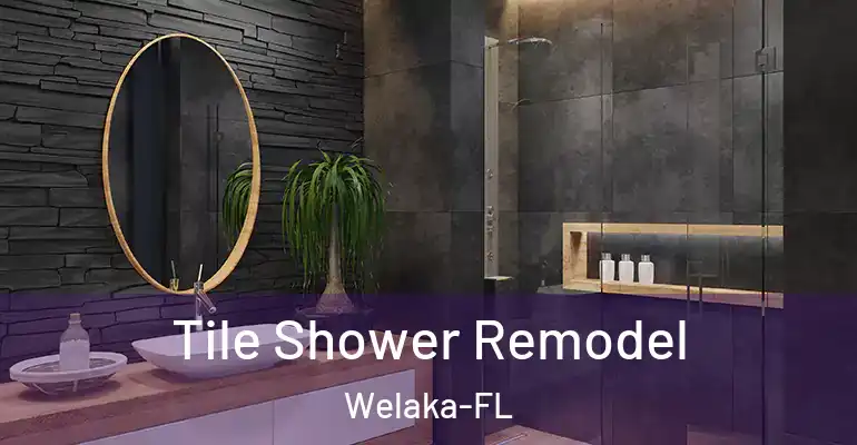inner Bathroom imggen Tile Shower Remodel Welaka-FL