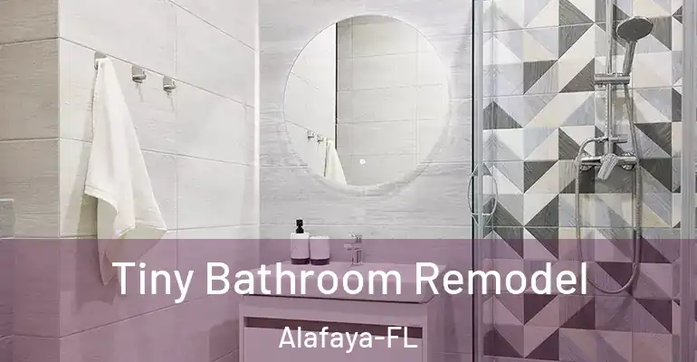 inner Bathroom imggen Tiny Bathroom Remodel Alafaya-FL