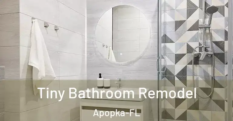 inner Bathroom imggen Tiny Bathroom Remodel Apopka-FL