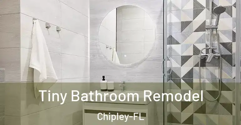 inner Bathroom imggen Tiny Bathroom Remodel Chipley-FL