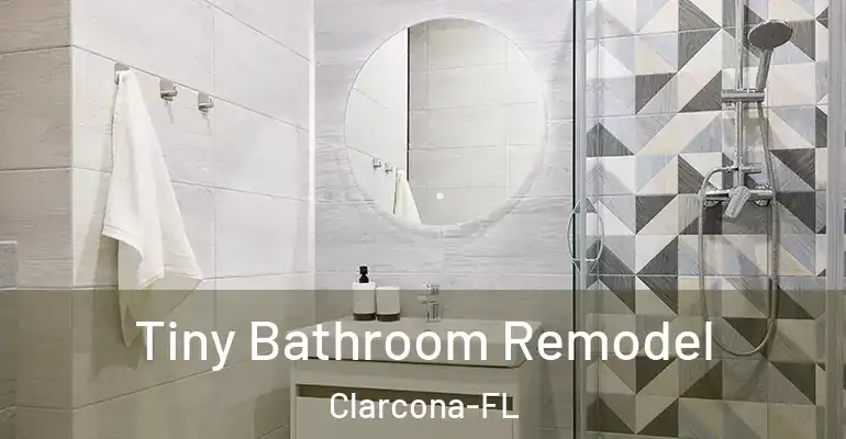 inner Bathroom imggen Tiny Bathroom Remodel Clarcona-FL