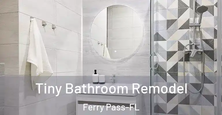 inner Bathroom imggen Tiny Bathroom Remodel Ferry Pass-FL